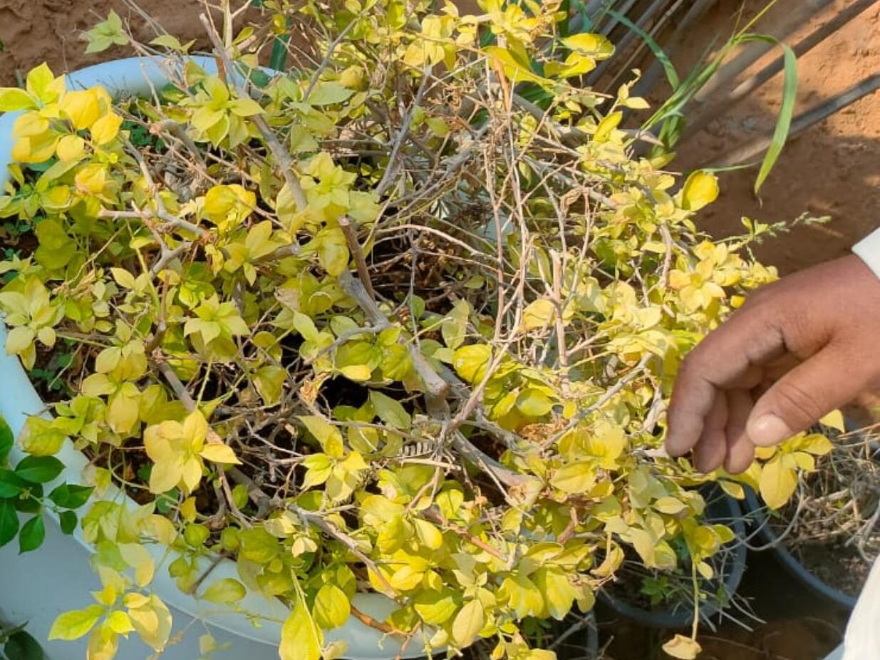 WhatsApp Image 2025-11-06 at 16.15.05 WhatsApp Image 2025-11-06 at 16.15.05